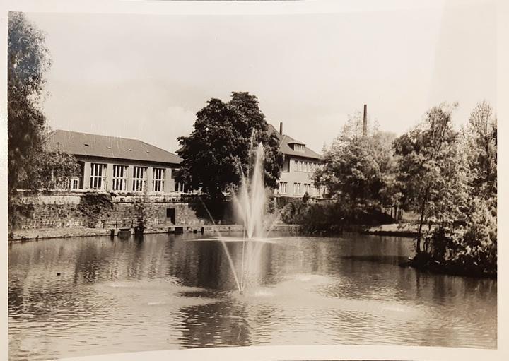 Restaurant, Tanzlokal, Hochzeitssaal & Dekoration am Kasinopark, Kreis Osnabrück